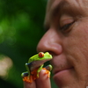 Uporabniški avatar